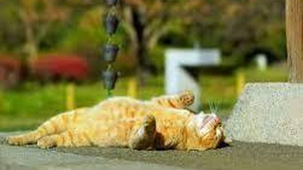 �������� �������: � ������� ������ ���������� ���, ��� ������������ �� ��������