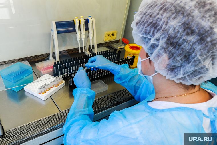 ���-�������� ��� ����������� �� ������ �� �������������� �������. &laquo;���� ������ ��� ������ � ������&raquo;