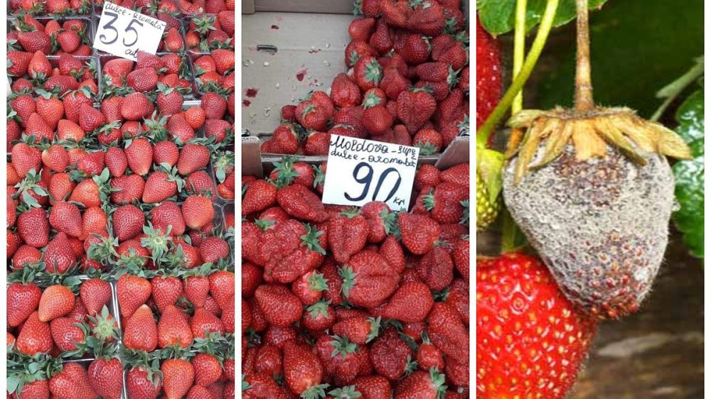 ��������� �������� ����, ��� ����� �������� �� ����: ������� ��������� �������� ������ ���������� ������������� - ����� ����������� ������� � ����� �� ������