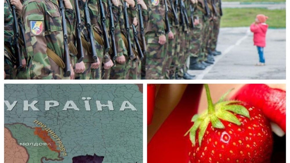 ������� ������� � ������� �� 1 ��� 2022: ��� �������� �������� �������� � �������� ����������� � �������, ���� �� ����������� �� ������������ �������� ������� � ����� �������������, ��������� �� ����� ��������� �� ����