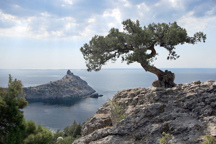 ���� �� ����������� � ������������� ��������� �� ������� ������� - ���