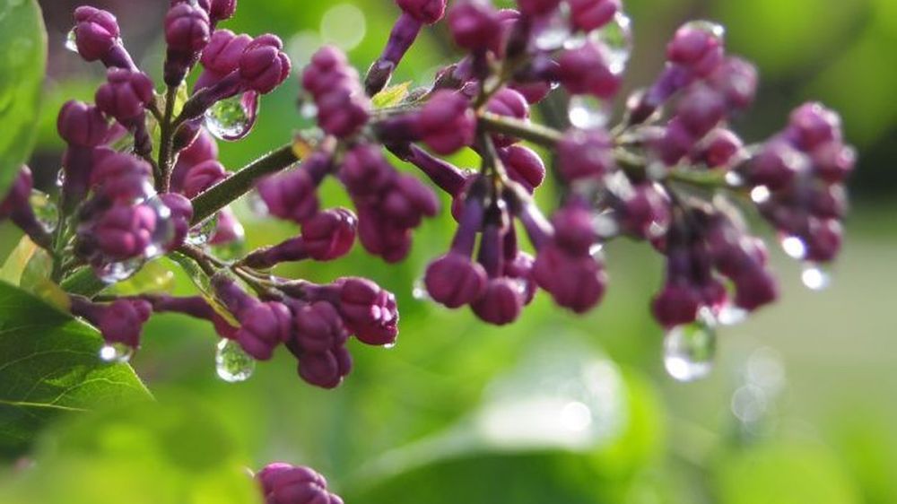 � �� ������� ����� ���: ���������� � ������� ������������ ������ ������ ������, �� ����� ��� ��������