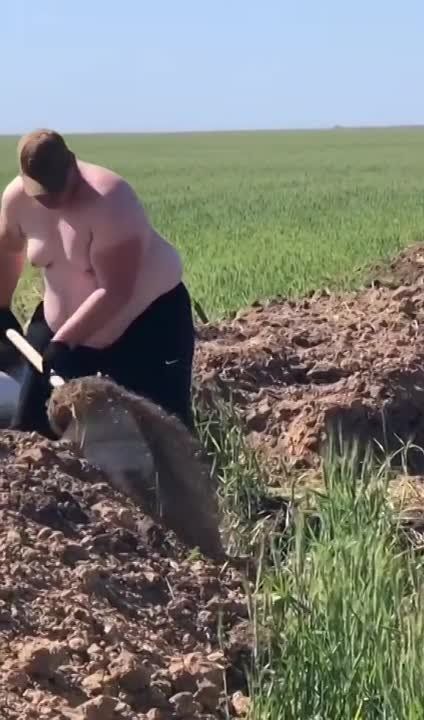 ��� ������������ ��������� �����, ������� ������� �� ������� ������ � ��� � �������� ���������� � ����� ���������������...