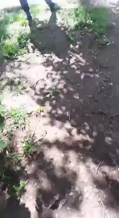 � ��������� �������� ��������, ������� ����������� ������� ����� ����� �� ������ ������