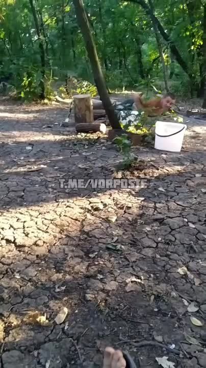 ���� ���������� ������� ����� �������, ���������� ���������� ������ ������� �� ���������