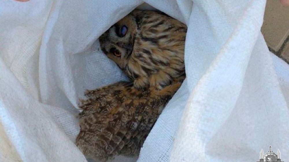 � ������������� ���� ������ ������ � ��������� ������