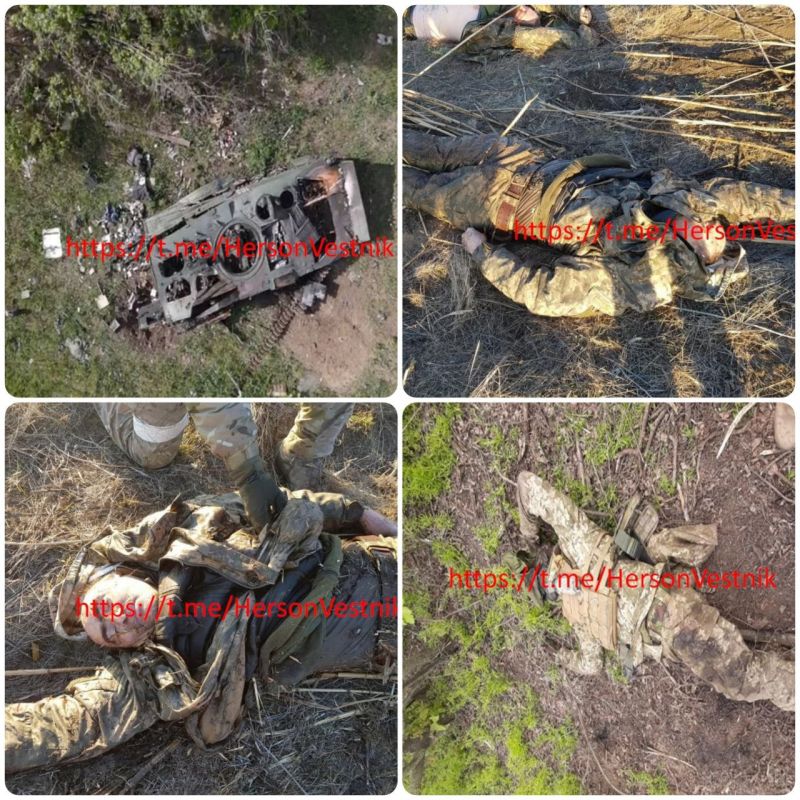 ��� ������� ������ ������ �� ���������� �����������