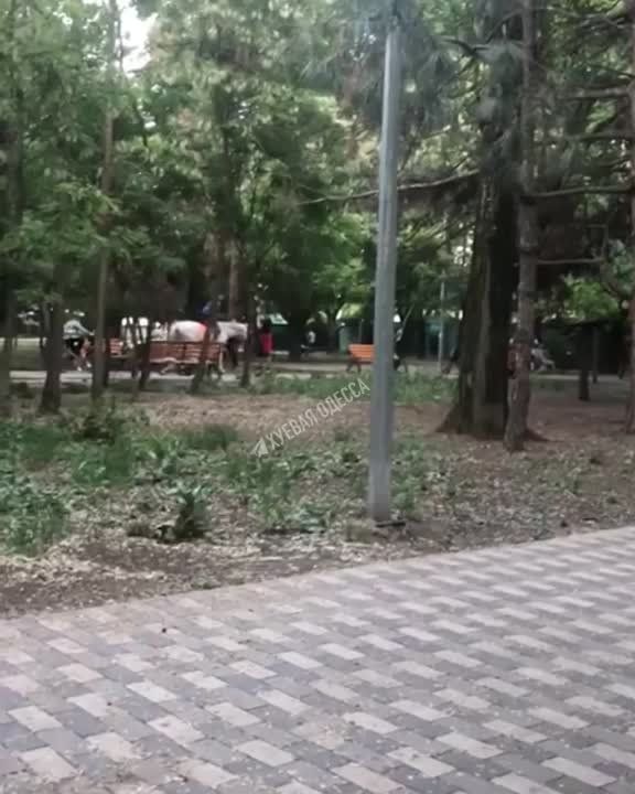 � ������ ������� ���� ������� ����