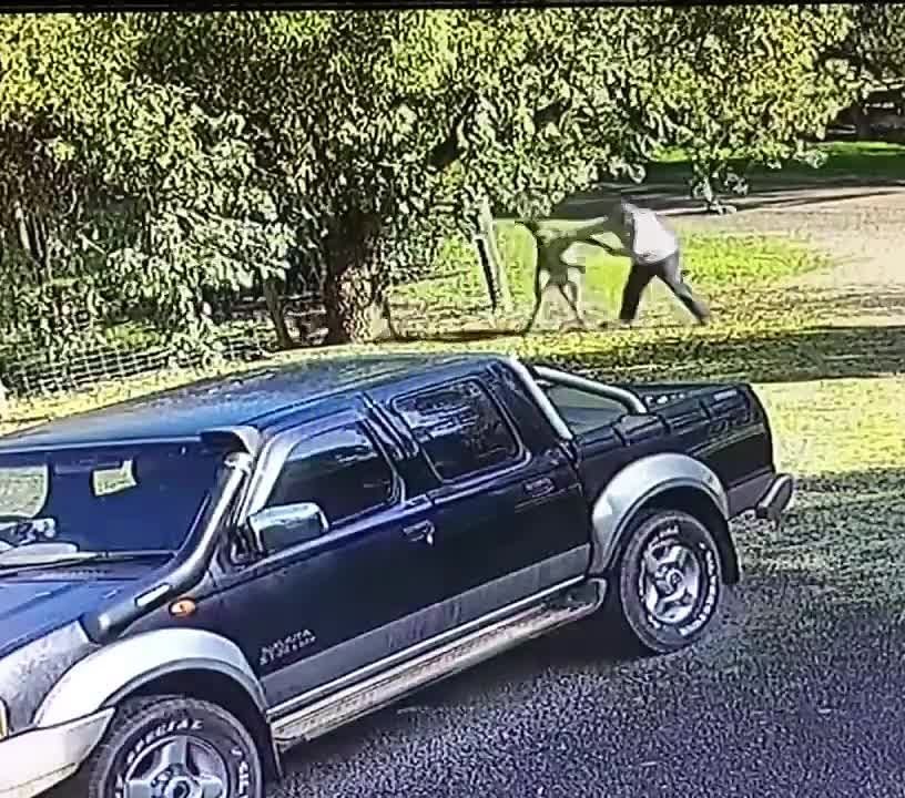 � ��������� ������� � ����� �������� ������������