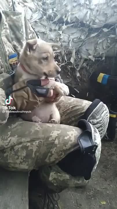 ��� �� �������� ������� ������� ������� ������ �������� �����. ������ ���� ��� �� ������� �������, ������ � ��� ��������� ������ ���