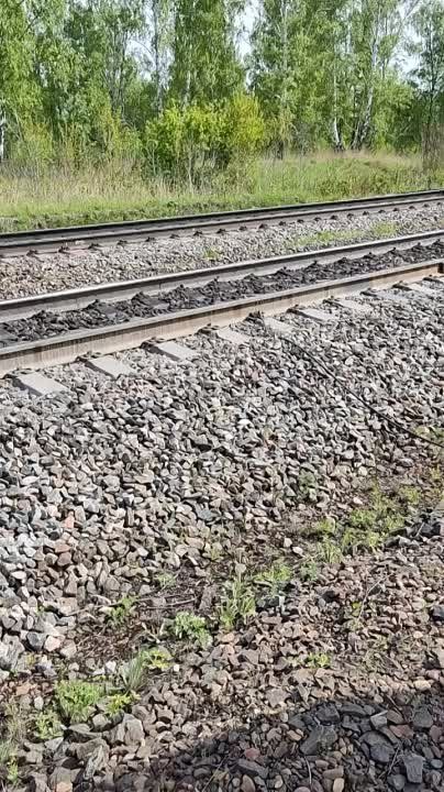 ������ � ���������� ������ �������� ���� ��� �������� ����������� �����������