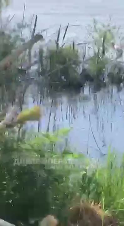 ��������� ��� � ���� ��� �������� ��������