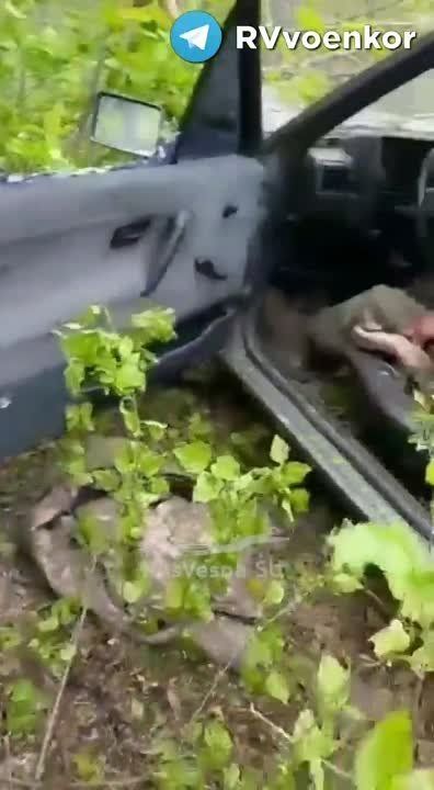 ������� ���������� ���������� ������������ ������ ���������� ��������, ������� ������������� �� ����������� ������ � �������� �� ����� �� ��������� ����������� ������. ������� ������� �������� ������ �� ���������