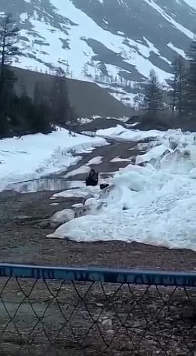 � ������ ������� �������� �������, ������� ��������� ������ � �������� �������, �������� ��� ����