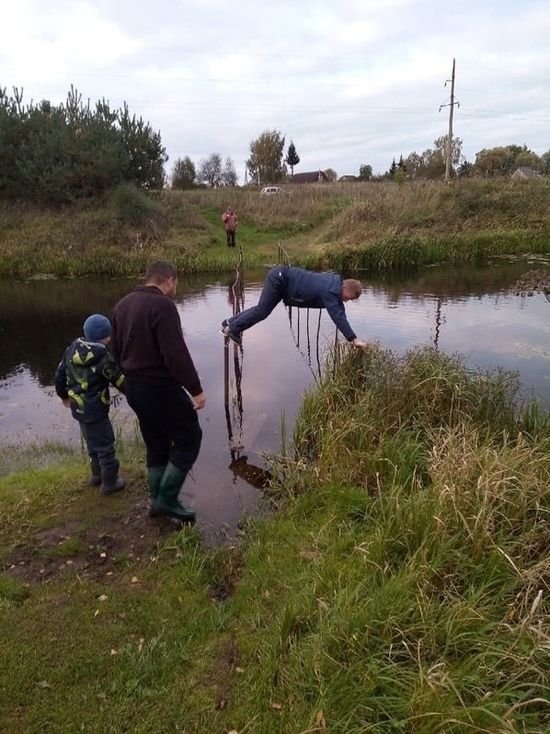 ������ ����������� �������, ����� ������� � ���� �������, ��������� �������� ������