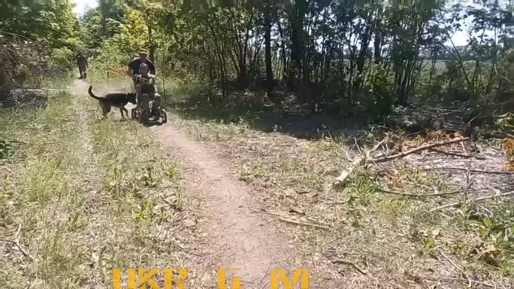 �������� �������� ���������� ��������� ��������������� ������ �������