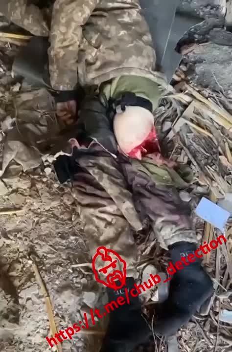 ���������� ������� ������� ������ ���������, �������� �������� ����