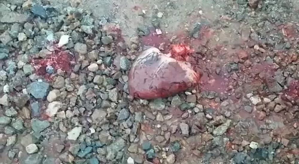 ������� ��� �����, ��� ��������� �������� ����� � ������