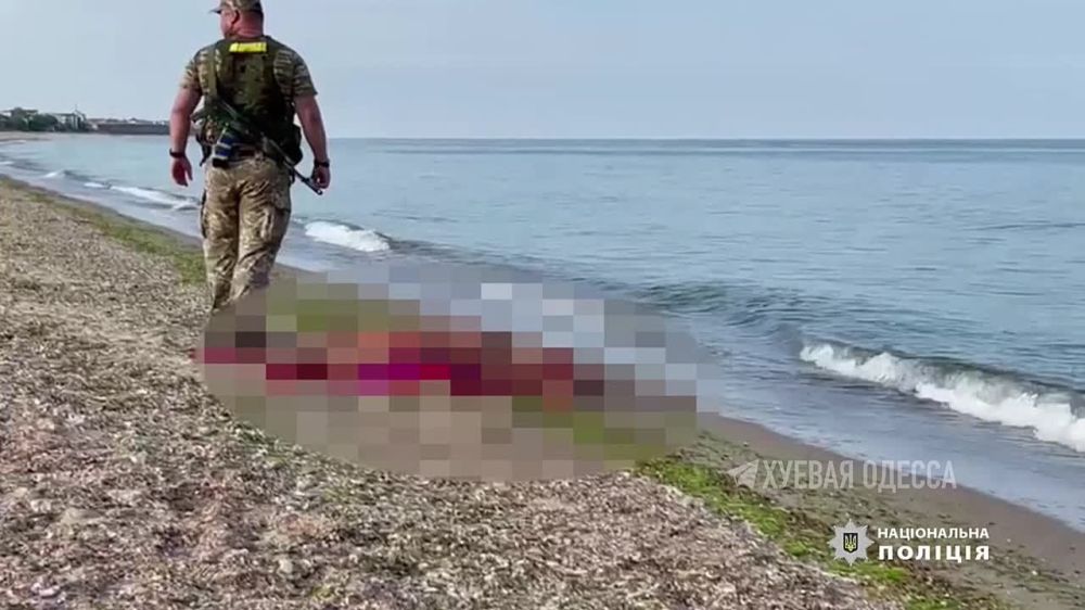 ������ ������ ���� �� ����� � ��������, ��� �� ���� ���������� �������