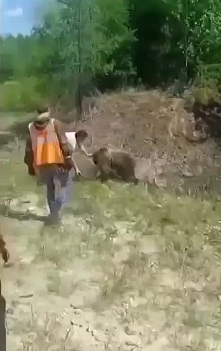 � ������ ������ ������ �����, ������� ������� ������ � �������� ����