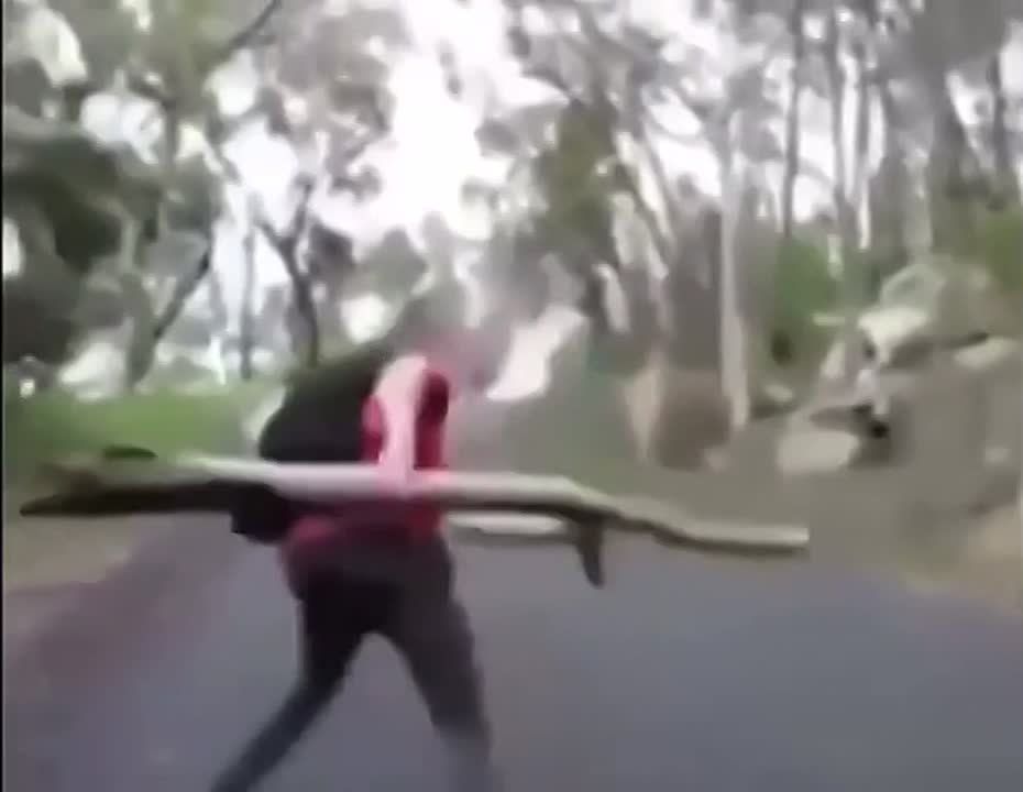 �������� � ��� ������ ������� ����� �������