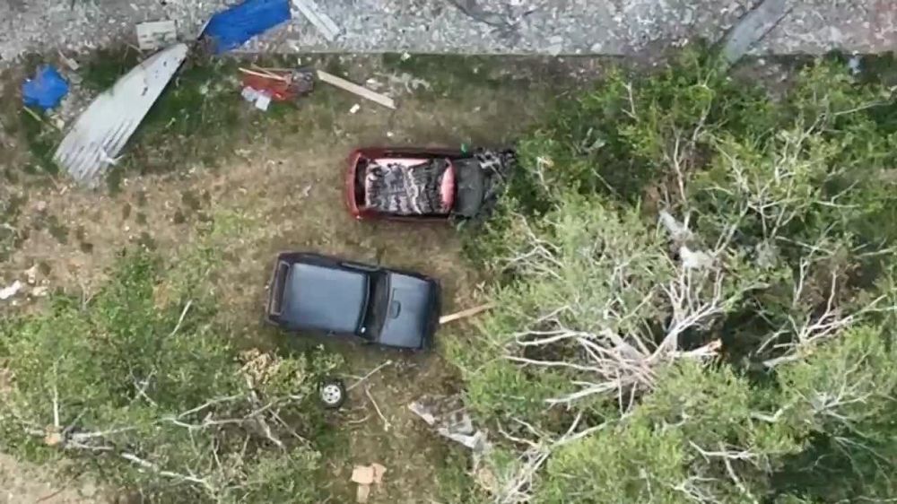 �� ����� ������ ������ ������� �-1 � ����������� ������������ �� �������� ���