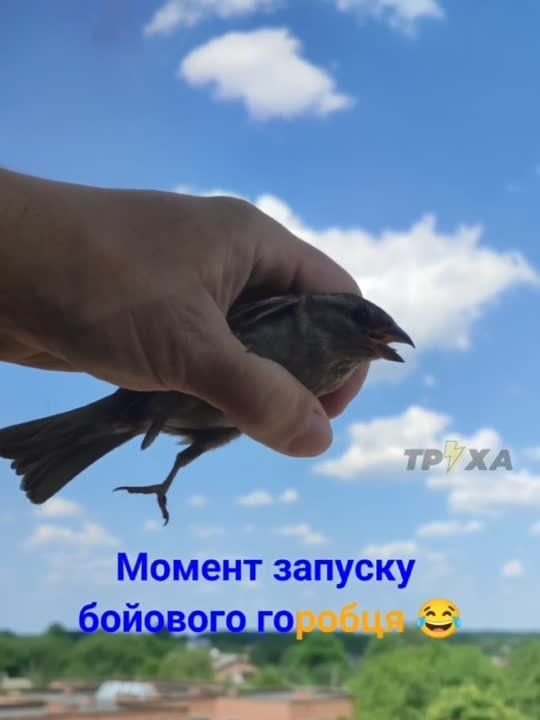 �� ������� ����������� ������ ����