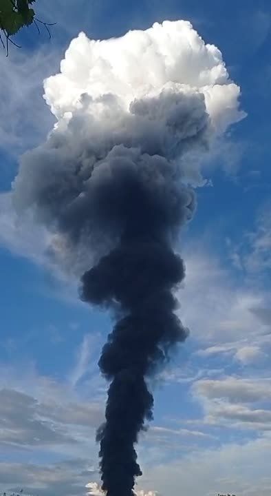 ���������������� ������� ������