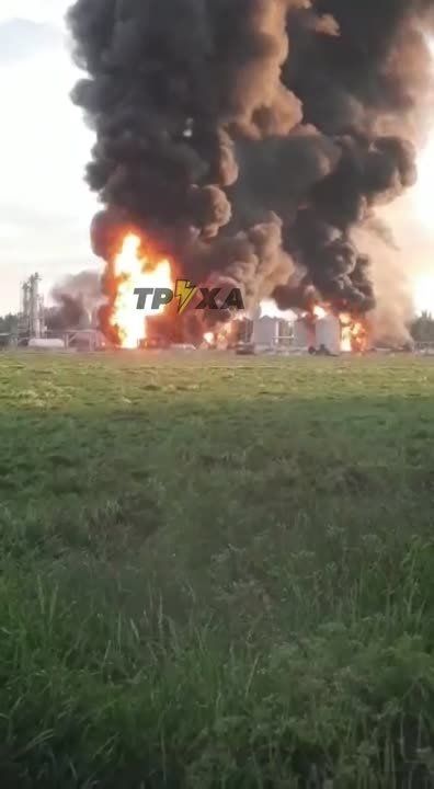 ��������� � ��������������� �� ������� ��� ������� �������� �� ��� ��� �����