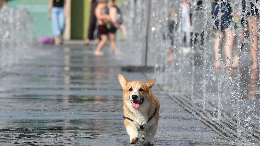 ��������� ����� �������� �� ���� +33, ��������� ������ �������: ���� � �������� ��� ����� - "������ ���" ��-�� �����, ������, ������� �����