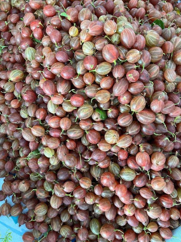 �������� ��������� �� ������� � �������, 45 ������ �� ��. ������ �� ������ � ����, ���� �� 45