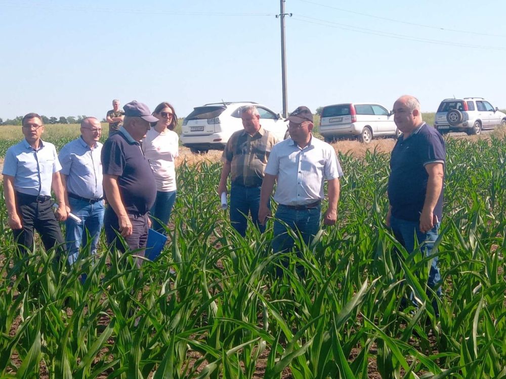 �������� ����������� ������� ���������, ��� ���� �� ����� ���������� ������