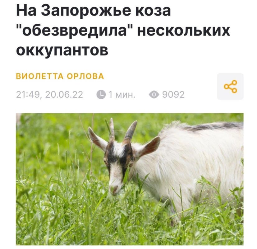 ������� ���������� �������� �� �������: �� ��������� ���� ����������� ���������� �����������