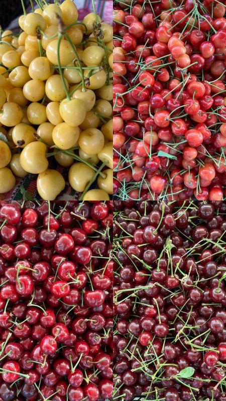 ���������� ����� �� ������ �����