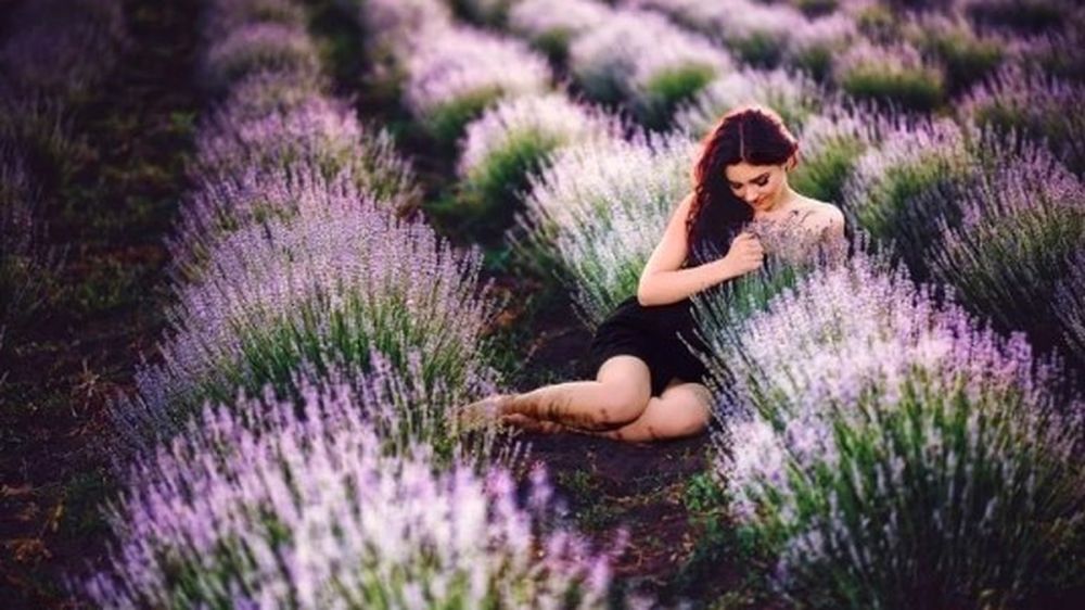 �, ��-��, �������� ��� ����, ����� ���: ������ ����� ������ � ��������� ���������� ����� ������� ��� �������� ����������