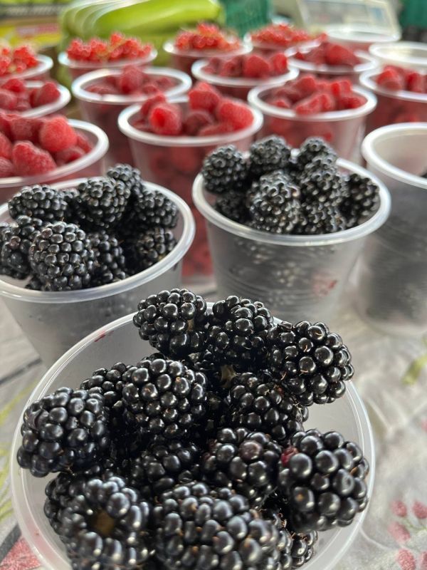 ������ ������� �� ������� 20 ������