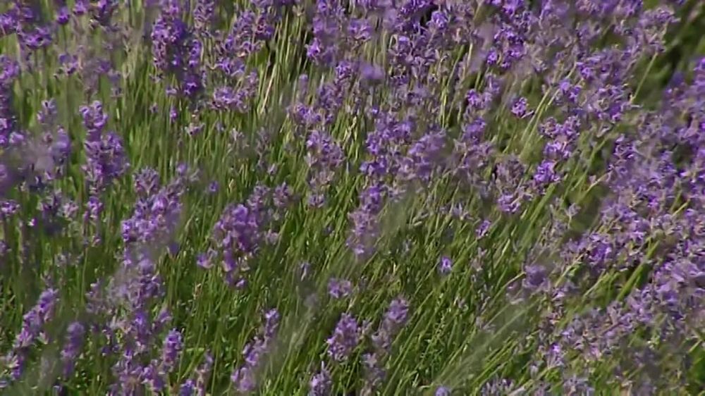 �� ���������� ���� � �������� ��� ��������� � ���������