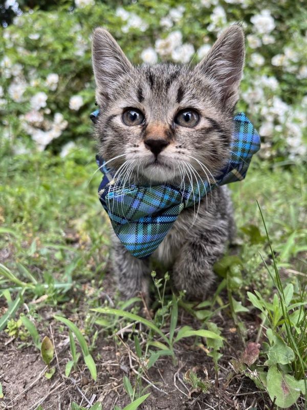 ���� ����� ���������� - ��� ���� ������ ���� ������, ������� ����� �� �������������� �����