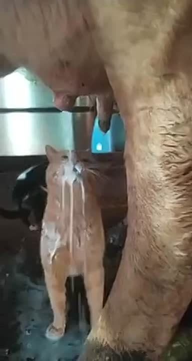 ������ �� ������������ ��������� ��������� ��� ������