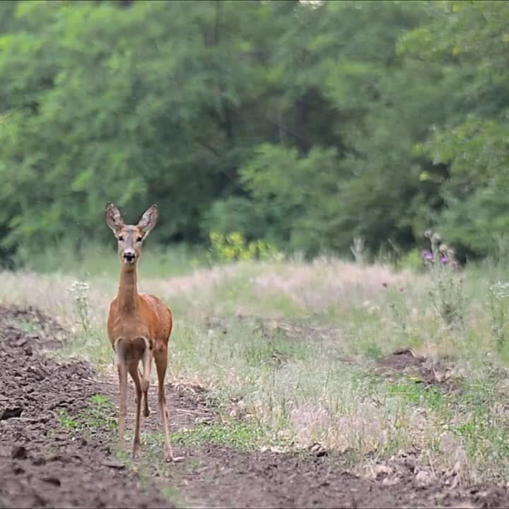 � �������� ������ ������� ������� ������� ����������