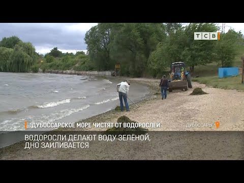 ������������ ���� � ��� ����� ������� �� ���������� ������ �����. ���������� � ������ ����� �������. ���� ������� �������� ����