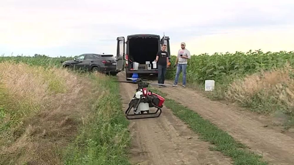 � �������� �������� ������������ �������� ����