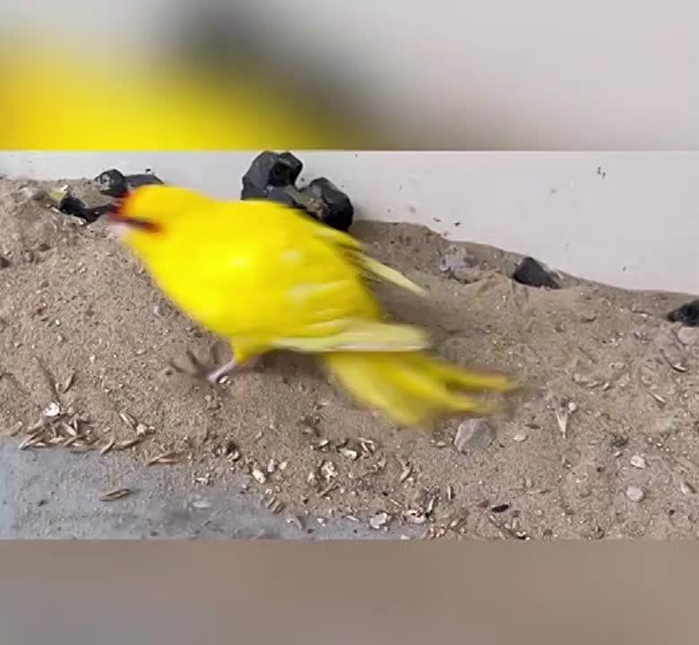 � ��������� ������� � �������� �������� ������