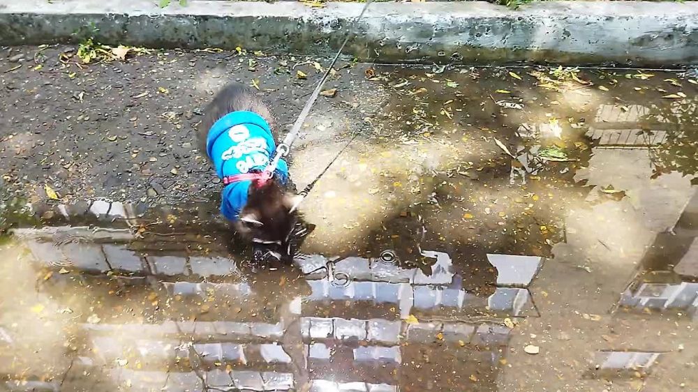 � ��������� ���� � ������ �������� ���� ���� � ����