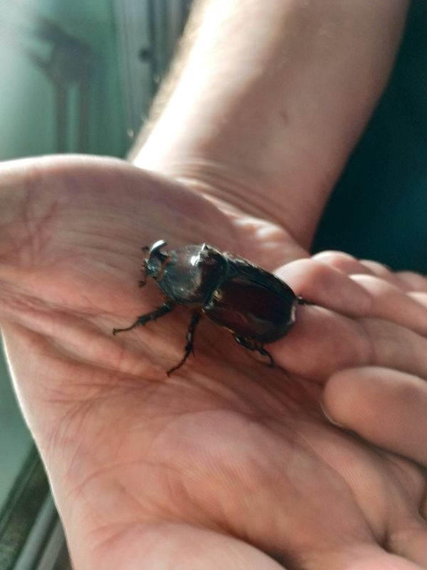 �������� � �������������