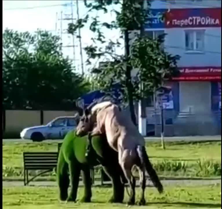 � ��������� ������� ������� �� ������ ������������� ������� ������ � ��������� �������� ������ �� ������ ��� ������ ���������