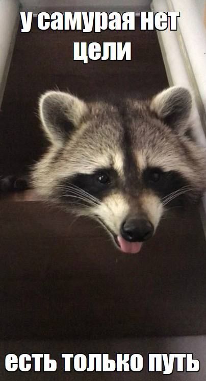 �������� ����, �������� � ������, ����� �������� �� ���� � ������ ����� ������