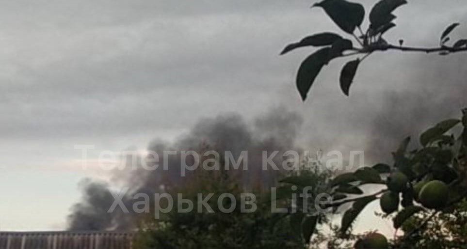 �������� ���� �� ����������� ������� - ����� ���� � �������, ��� ���������� ������� ������ ��� � �����