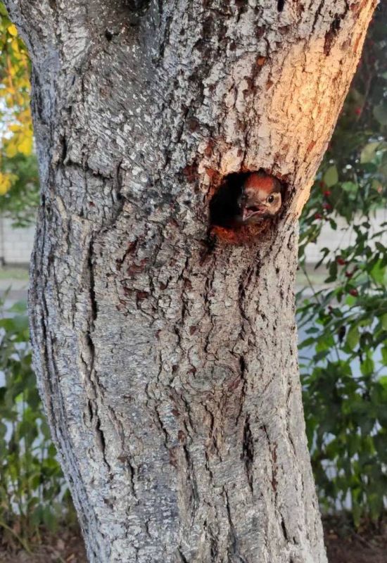 ��� ����� ������� ����� �� ������������� ����� ������