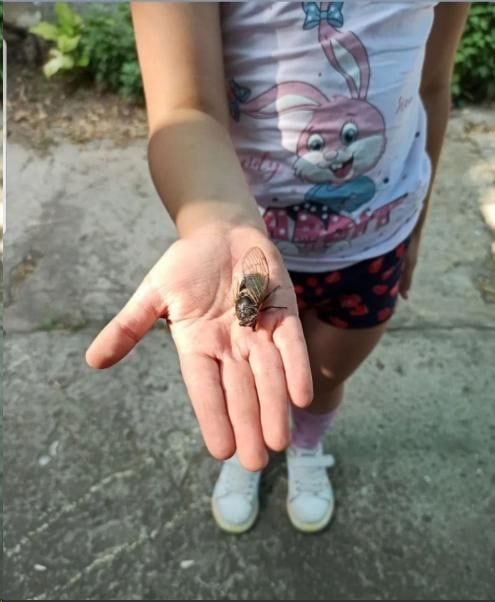 � ���������� ��������� ���������